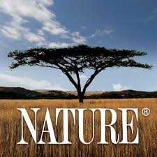 Bird Movies, Bird Films, Bird Documentaries
