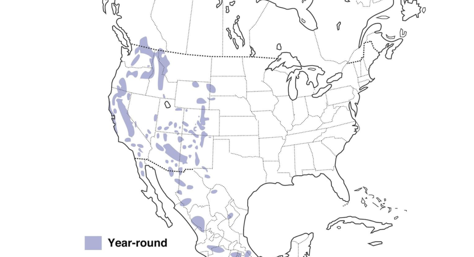 22 SMALL Birds that live in Washington (state) - Bird Watching HQ