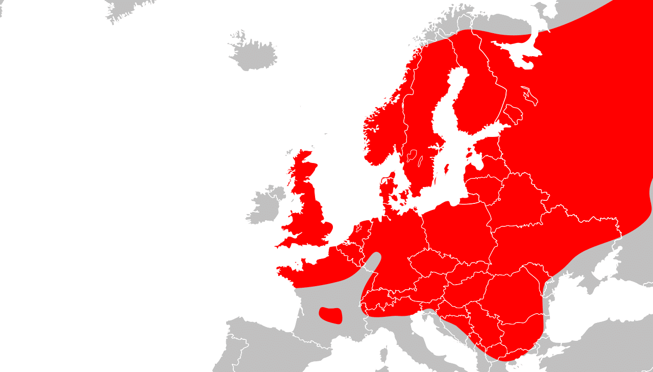 5 VENOMOUS Snakes Found in Russia! (2025) - Bird Watching HQ