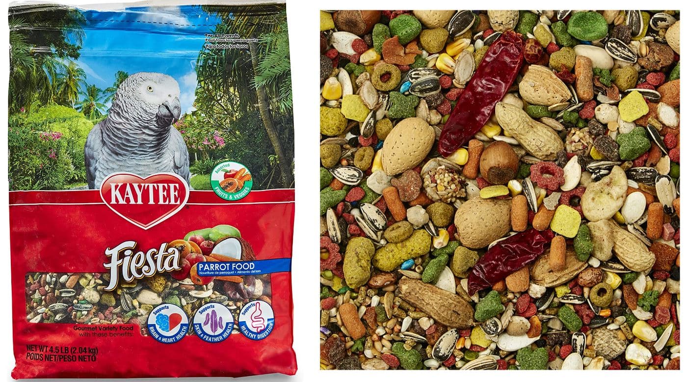 13 BEST Foods for PARROTS in 2023 diets/treats) Bird