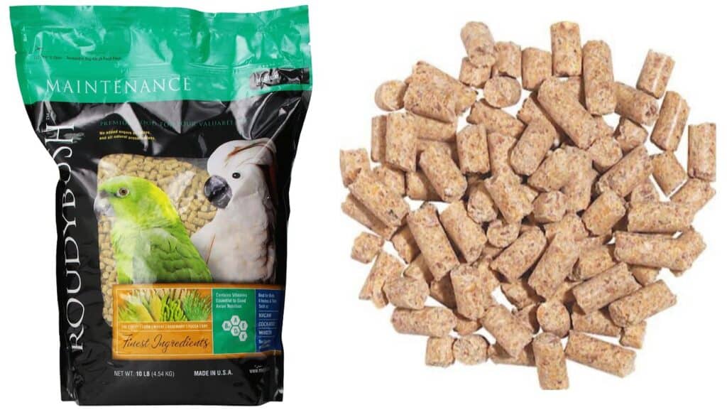 best foods for macaws