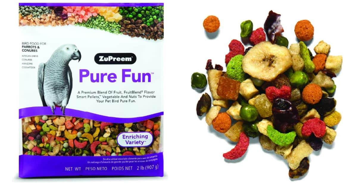 13 BEST Foods for Eclectus Parrots (2024) Bird Watching HQ